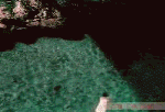 2005112816201083.gif